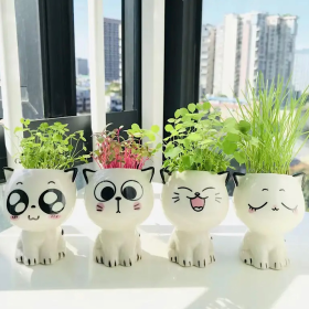 Mini Maceta Estilo: Gatito Bebé Mini Maceta Estilo: Gatito Bebé